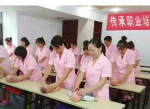 河間月嫂傳承家政服務(wù)公司 專(zhuān)業(yè)守護(hù)，傳承溫暖，打造貼心家政服務(wù)