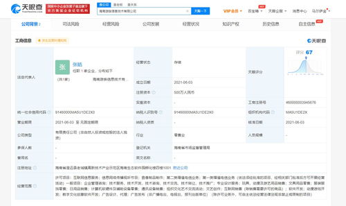 游族網絡海南布局，成立新公司加碼數字文化創意軟件開發